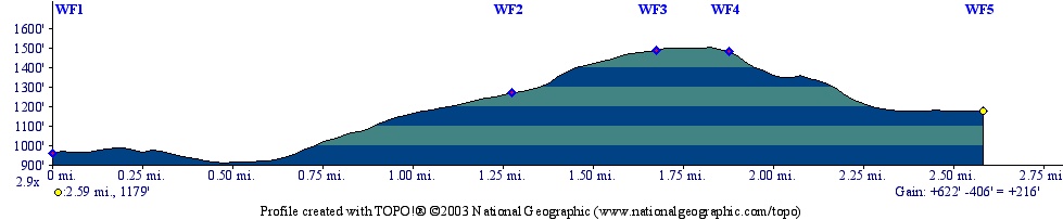 Webb Forest Elevation